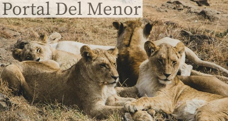 familia leonas